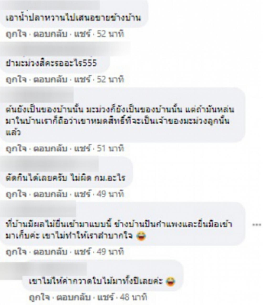 หนุ่มโพสต์ถาม มะม่วงเพื่อนบ้าน ยื่นเข้ามาข้ามกำแพง ถ้าตัดกินเองผิดไหม?